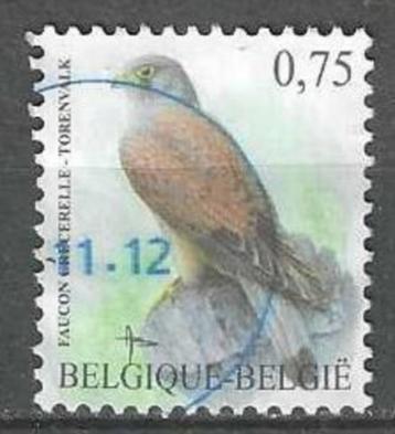 Belgie 2007 - Yvert 3600 /OBP 3609 - Torenvalk (ST) beschikbaar voor biedingen