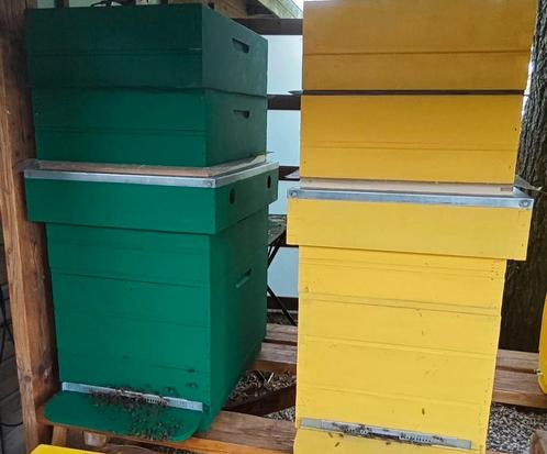 Te koop: Dubbelwandige houten Dadant Blatt bijenkasten met C, Dieren en Toebehoren, Insecten en Spinnen, Bijen