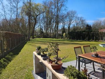 Tuinrenovatie,gazonaanleg,kleine grondwerken,verbouwingswerk beschikbaar voor biedingen