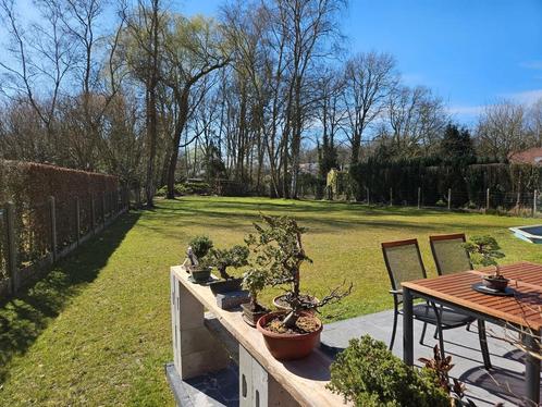 Tuinrenovatie,gazonaanleg,kleine grondwerken,verbouwingswerk, Diensten en Vakmensen, Tuinmannen en Stratenmakers