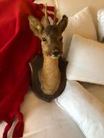 Opgezette reeenkop, Antiek en Kunst, Ophalen of Verzenden