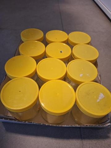 Weckpotten voor honing - 12 stuks