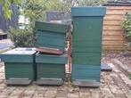 Bijenkasten te koop, Animaux & Accessoires, Insectes & Araignées