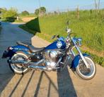 Kawasaki Vulcan VN800, Motoren, Particulier