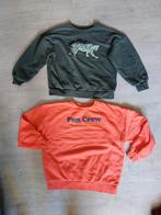 Pulls, Kinderen en Baby's, Kinderkleding | Maat 140, Ophalen of Verzenden, Zo goed als nieuw