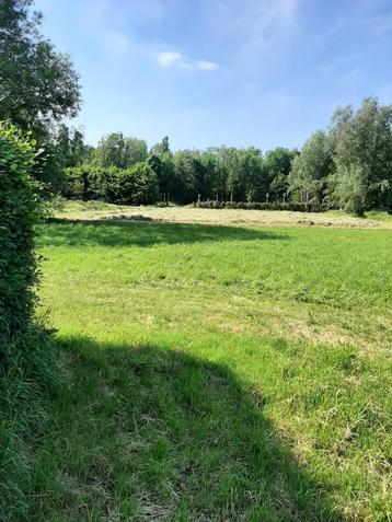 Bouwgrond met aansluitend weide, Turnhout, Ventes sans courtier, 1500 m² ou plus