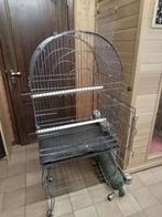 Cage oiseau avec pied pour Calopsitte &Perroquet, Animaux & Accessoires, Enlèvement, Utilisé, Cage à oiseaux