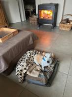 Poele à bois Dovre, Huis en Inrichting, Ophalen, Gebruikt, Houtkachel, Vrijstaand
