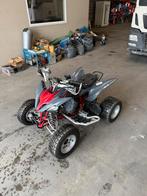 Yamaha quad yfm 250 raptor limited edition, Motoren