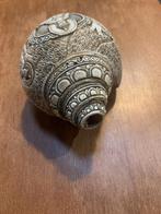 Hand-gegraveerde Tibetaanse Conch (blaasschelp), Enlèvement ou Envoi