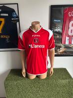 Charlton Athletic thuisshirt 2006-2007, Maat M, Verzenden, Zo goed als nieuw, Shirt