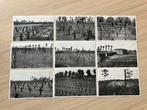 9 oude postkaarten Militaire kerkhoven ww1, Enlèvement ou Envoi