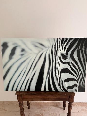 Zebra Poster beschikbaar voor biedingen
