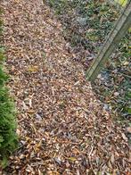 GEZOCHT HAKSELHOUT HOUTSNIPPERS HAKSELING, Tuin en Terras, Ophalen of Verzenden