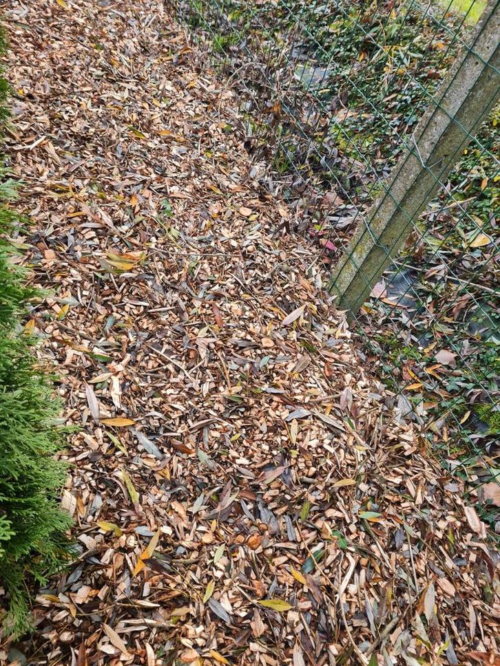 GEZOCHT HAKSELHOUT HOUTSNIPPERS HAKSELING, Tuin en Terras, Overige Tuin en Terras, Ophalen of Verzenden