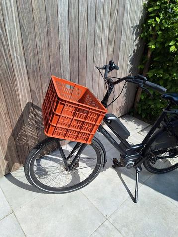 Fietskrat Basil beschikbaar voor biedingen