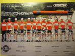wielerkaart 1984 team ariostea benotto   paul wellens, Gebruikt, Verzenden