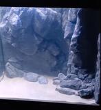 Juwel Lido 120 met prachtige wand, Dieren en Toebehoren, Ophalen, Gebruikt, Leeg aquarium