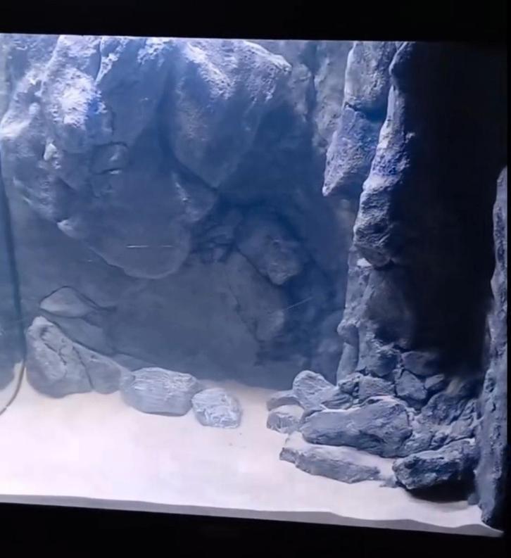 Juwel Lido 120 met prachtige wand, Dieren en Toebehoren, Vissen | Aquaria en Toebehoren, Gebruikt, Leeg aquarium, Ophalen