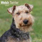 Welsh Terrier-kalender 2025, Ophalen of Verzenden, Jaarkalender, Nieuw