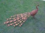 Rusted pat smeedijzeren pauw... nieuw!, Tuin en Terras, Ophalen, Nieuw, Metaal, Dierenbeeld