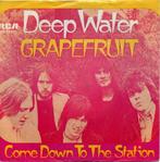 grapefruit, Ophalen of Verzenden