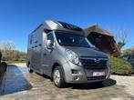 Camionette chevaux STEPHEX — Opel Movano — Version Stalli, Animaux & Accessoires, Chevaux & Poneys | Semi-remorques & Remorques