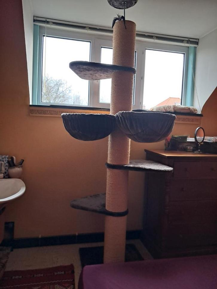 Arbre à chat de luxe RHR Pets Main Co, Animaux & Accessoires, Meubles griffoirs pour chats, Griffoir, Enlèvement