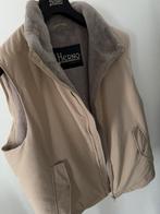 Herno Gilet in Zijde-Wol, Kleding | Heren, Bodywarmers, Herno, Beige, Ophalen of Verzenden, Maat 56/58 (XL)