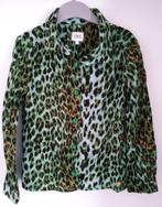 Blouse CKS, Gebruikt, Meisje, Overhemd of Blouse, Ophalen of Verzenden