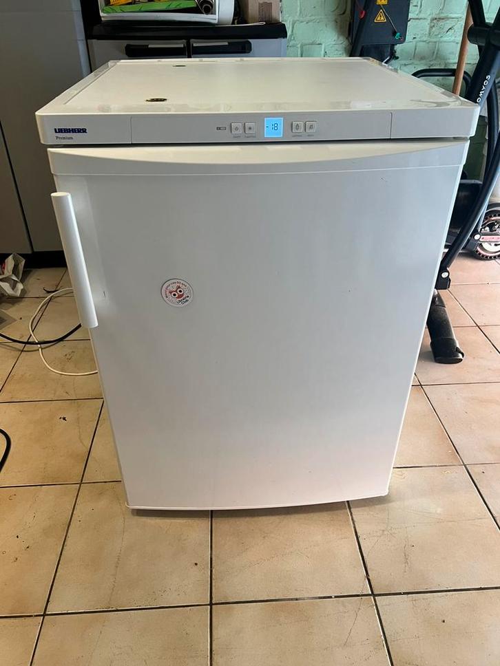 Congélateur Liebherr Gp1476, Elektronische apparatuur, Vriezers en Diepvrieskisten, Zo goed als nieuw, Vrieskast, Ophalen