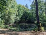 Te koop: 2 stukjes bosgrond met vijver in Kasterlee, Immo, Kasterlee, 1500 m² of meer