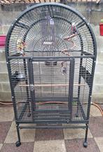 Grote grote papegaaienkooi met complete accessoires, Dieren en Toebehoren, Vogels | Hokken en Kooien, Verzenden, Zo goed als nieuw