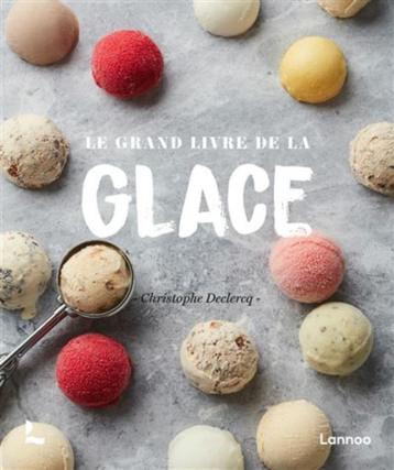 Le grand livre de la Glace ( 292 en FR - 376 en NL) disponible aux enchères