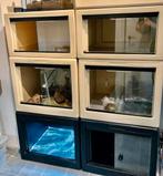 Herptek terra’s, Dieren en Toebehoren, Ophalen, Zo goed als nieuw