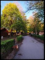 Chalet te huur, Vakantie, Huisdier toegestaan, 2 slaapkamers, Recreatiepark, In bos