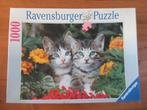 Leuke, volledige puzzel van 1000 stukjes, Ophalen of Verzenden, 500 t/m 1500 stukjes, Gebruikt, Legpuzzel
