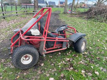 Cross buggy beschikbaar voor biedingen