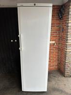 Diepvries liebherr A++ no frost 304 liter 8 lades, Ophalen of Verzenden, Zo goed als nieuw