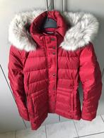 Donsjas Tommy Hilfigner als nieuw XS, Kleding | Dames, Jassen | Winter, Ophalen, Zo goed als nieuw