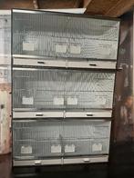 kunststof kweekkooien, Enlèvement, Neuf, Synthétique, Cage d'élevage