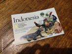 vintage kaart van Indonesië National Geographic Society, Gelezen, National Geographic Socie, Overige gebieden, Ophalen of Verzenden