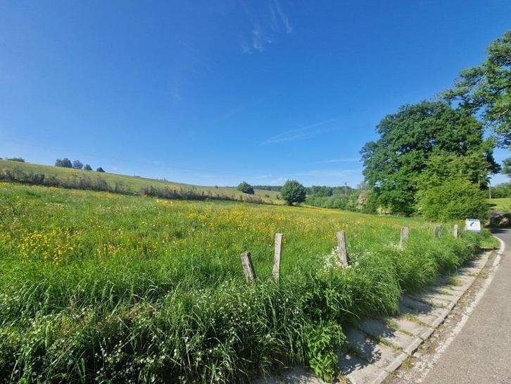Les Hayons - Bouillon : magnifique terrain, 1Ha 44a 66ca., Immo, Terrains & Terrains à bâtir, 1500 m² ou plus