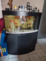 Aquarium juwelle 185litres, Enlèvement