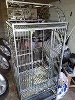 Cage perroquet, Dieren en Toebehoren, Vogelkooi, Gebruikt