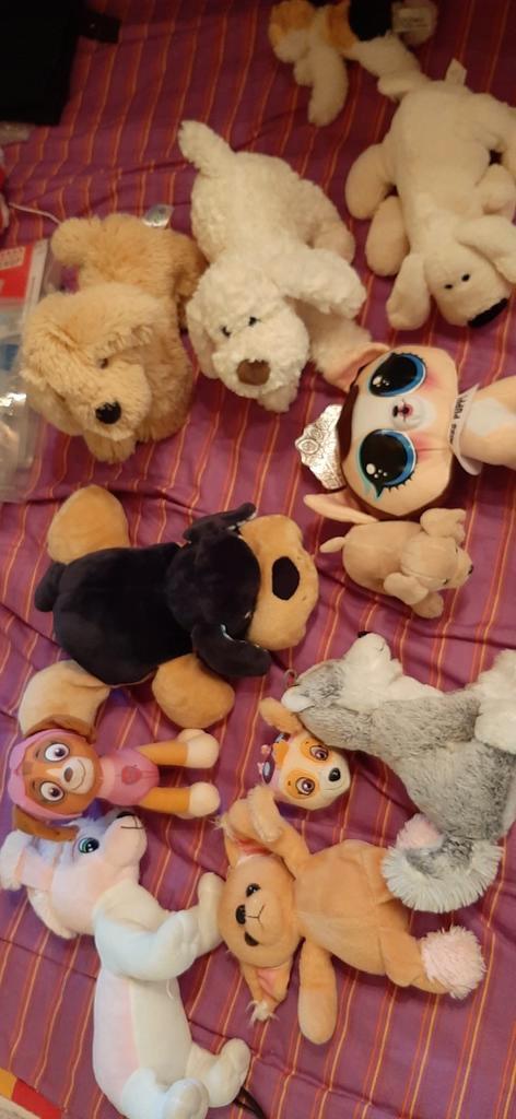 Hondenknuffels, Kinderen en Baby's, Speelgoed | Knuffels en Pluche, Zo goed als nieuw, Hond, Ophalen of Verzenden