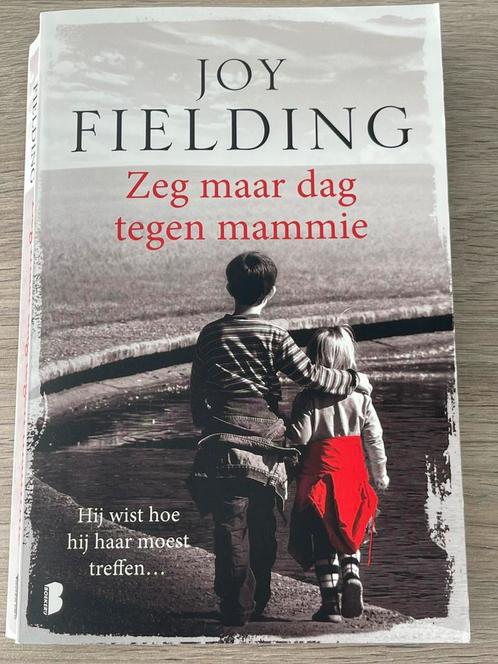 Joy Fielding - Zeg maar dag tegen mammie, Boeken, Thrillers, Zo goed als nieuw, Ophalen of Verzenden