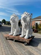 2x zeldzame leeuwen !!!, Ophalen of Verzenden, Zo goed als nieuw