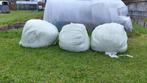3 bollen gras (voordroog), Zakelijke goederen, Landbouw | Veevoer, Ophalen