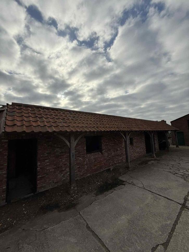 Dakpannen Sterreberg Courtrai – 35.000 à 40.000 stuks, Doe-het-zelf en Bouw, Dakpannen en Dakbedekking, Gebruikt, Dakpannen, Steen of Klei